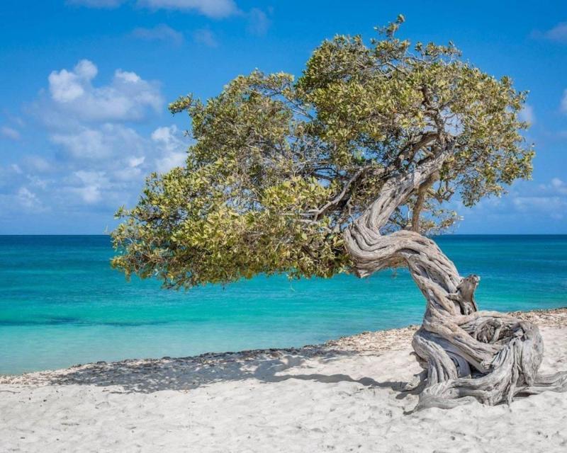 Villa Park Fontein Curacao Esterno foto
